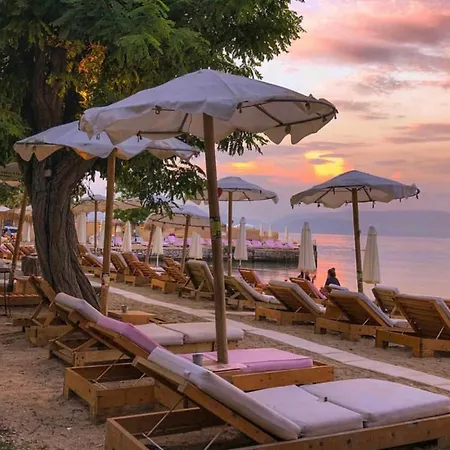 Mon Repo Tiny * Anemomylos