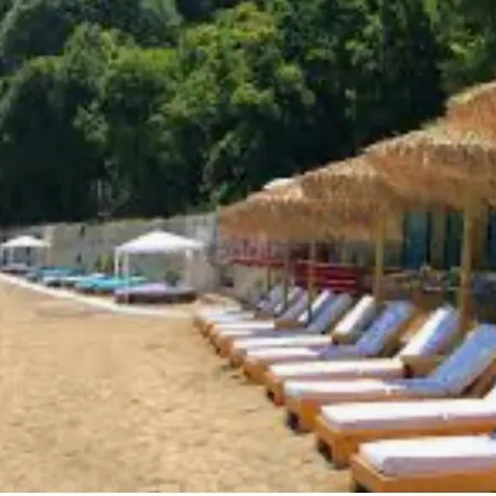 Mon Repo Tiny * Anemomylos